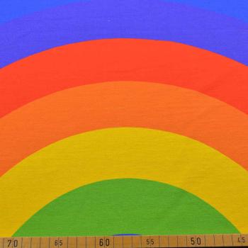 Preview: Baumwolljersey Panel Regenbogen ca. 75cm